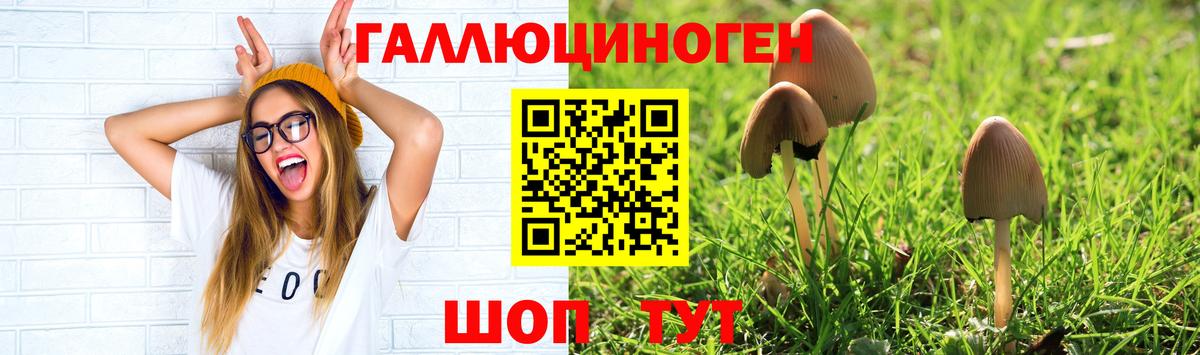 Галлюциногенные грибы прущие грибы Петропавловск-Камчатский