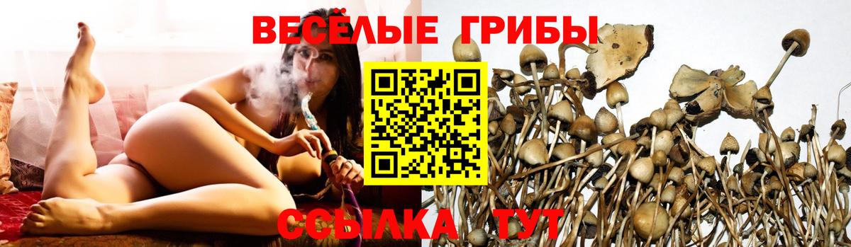 Псилоцибиновые грибы ЛСД  Вход с VPN  Галлюциногенные грибы MAGIC MUSHROOMS  Петропавловск-Камчатский 